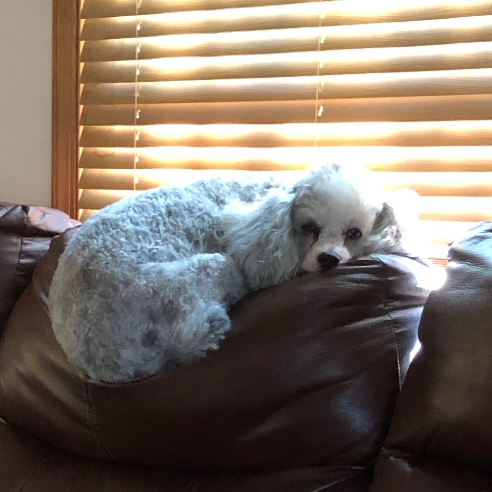 Meet your Posher, Nicole